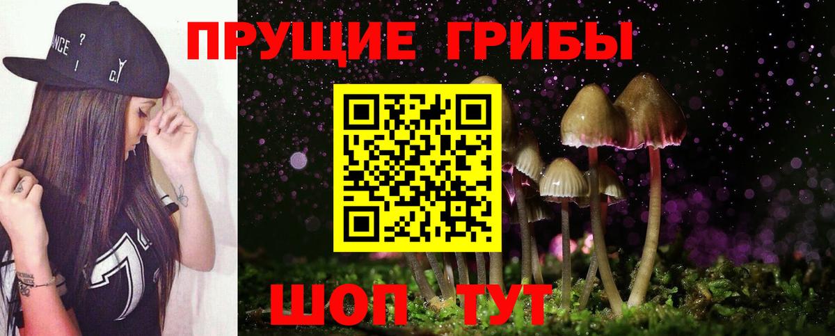 Псилоцибиновые грибы Psilocybine cubensis Красногорск